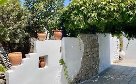 Iris Studios