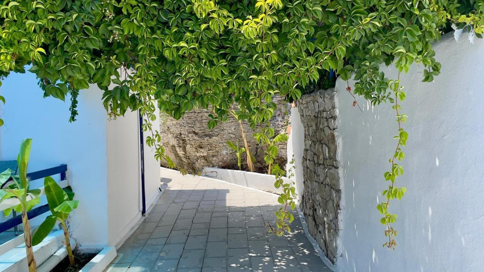 Iris Studios Archangelos  Exteriér fotografie